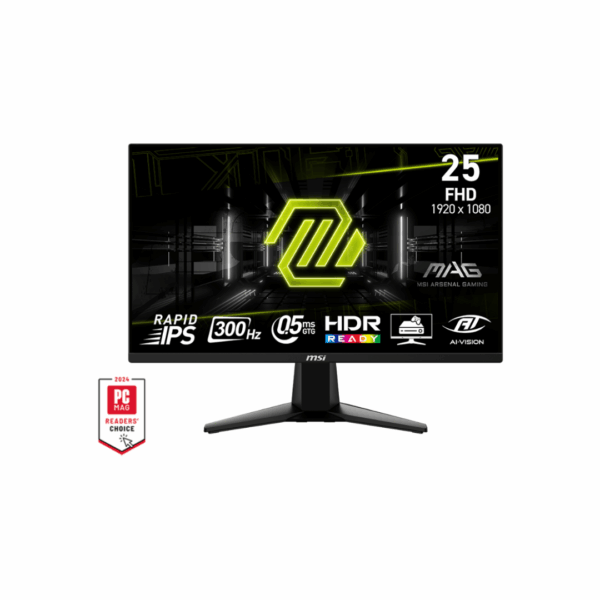 MSI MAG 255XF 24.5 Inch 300 Hz IPS FHD Gaming Monitor