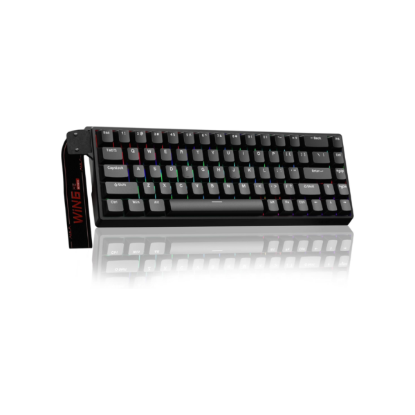 AULA WIN68 HE Mechanical Gaming Keyboard 60%, Hall Effect Magnetic Switch, Fast Trigger Mode Adjustable Actuation, 8000Hz Polling Rate, RGB Backlit, Wired Black Keyboard for Laptop/PC Gamer
